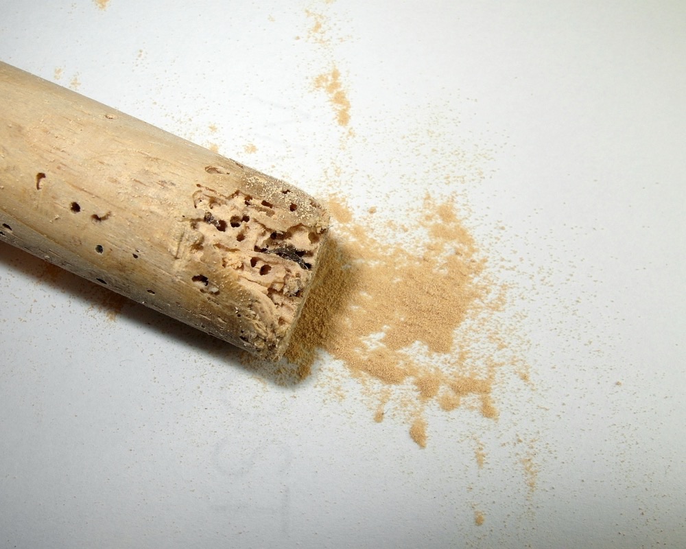 Broca de madeira — controle de brocas