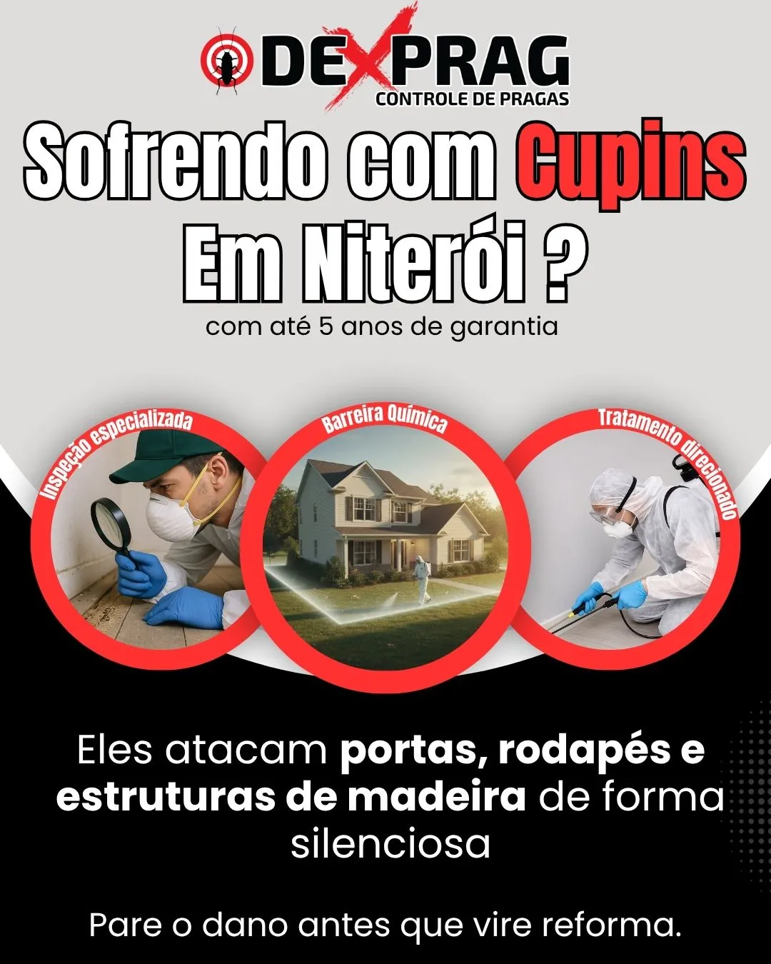 Banner da Dexprag: dedetização de cupim em Niterói com 20% de desconto