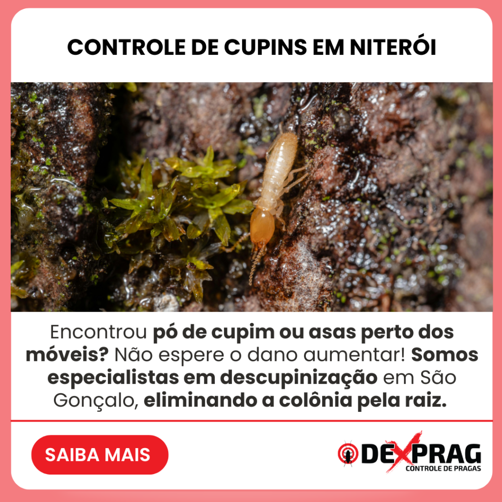 Controle de Cupins em Niterói
