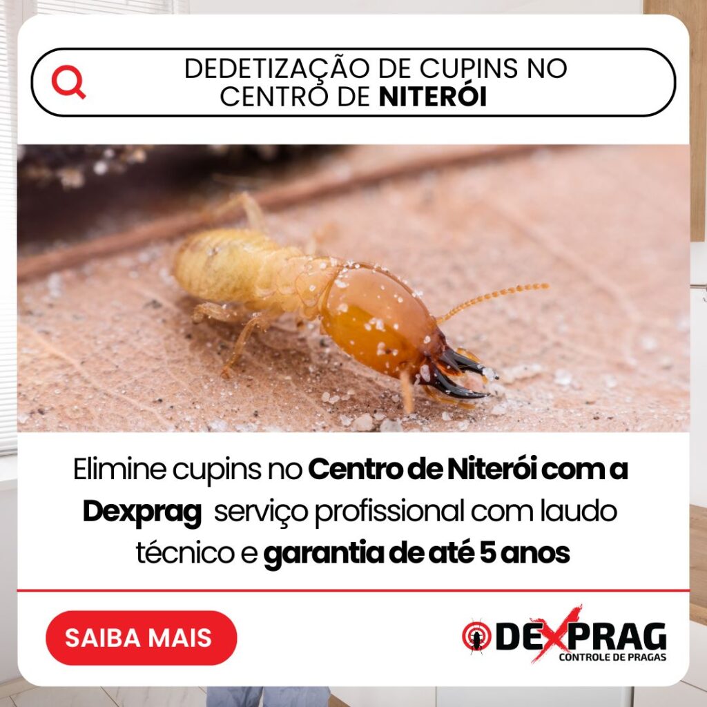 Dedetização de Cupins no Centro de Niterói