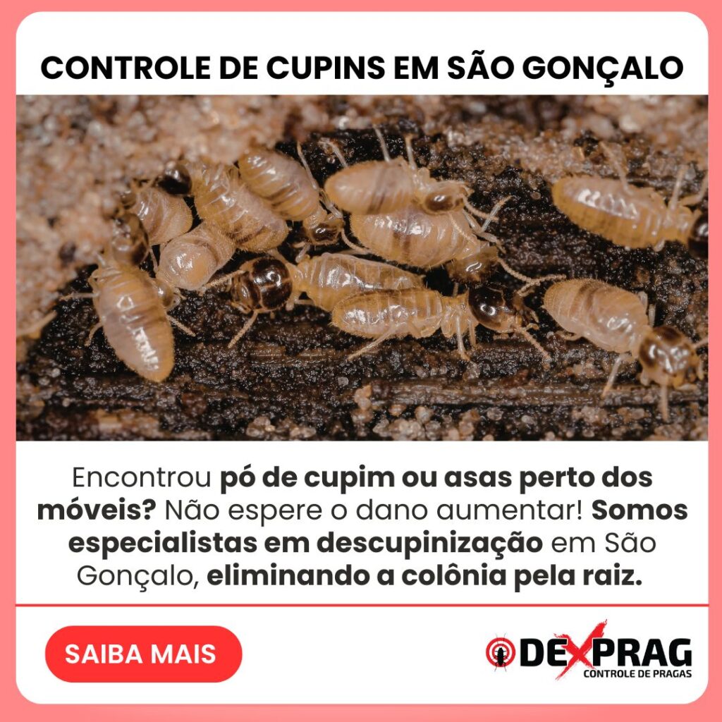 Controle de Cupins em são Gonçalo