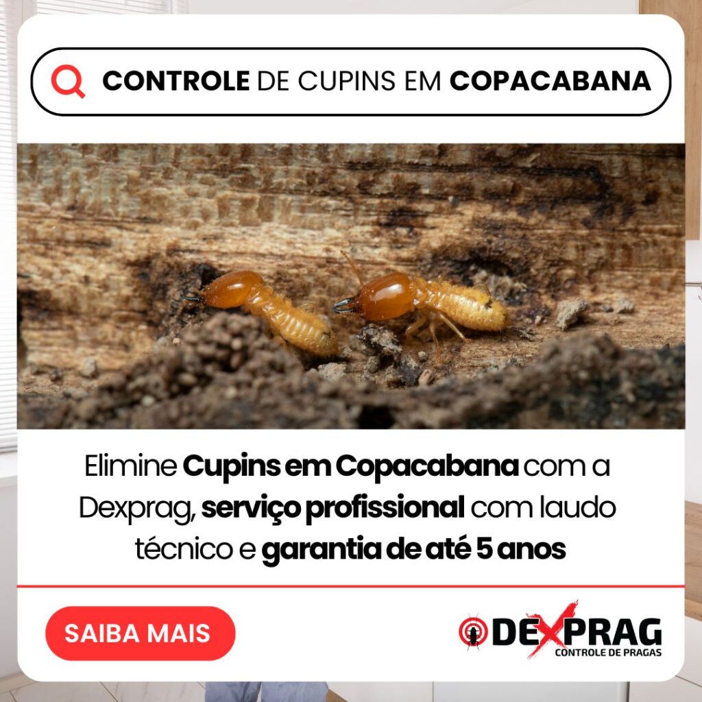 Controle de Cupins em Copacabana